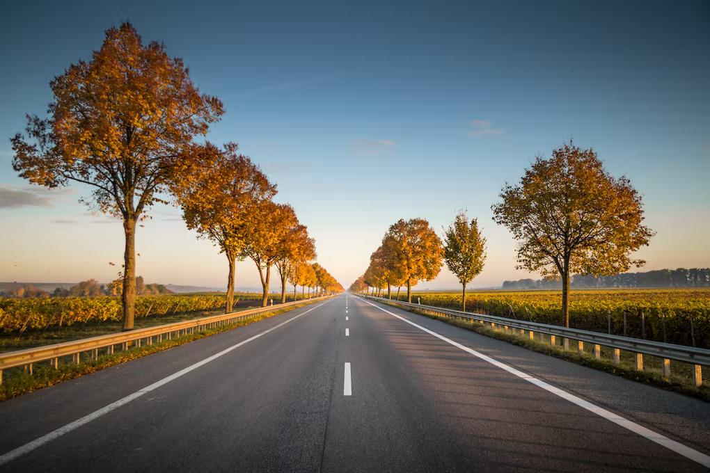 Una carretera iluminada por el atardecer con arboles a los costados